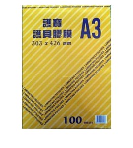 A3(303*426mm)/100入